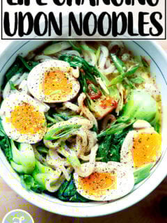 A bowl of life-changing udon noodles.
