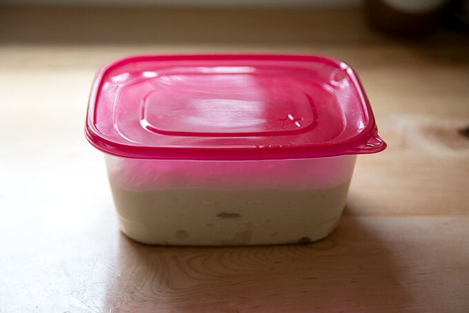 Sourdough ciabatta dough in a Tupperware container.