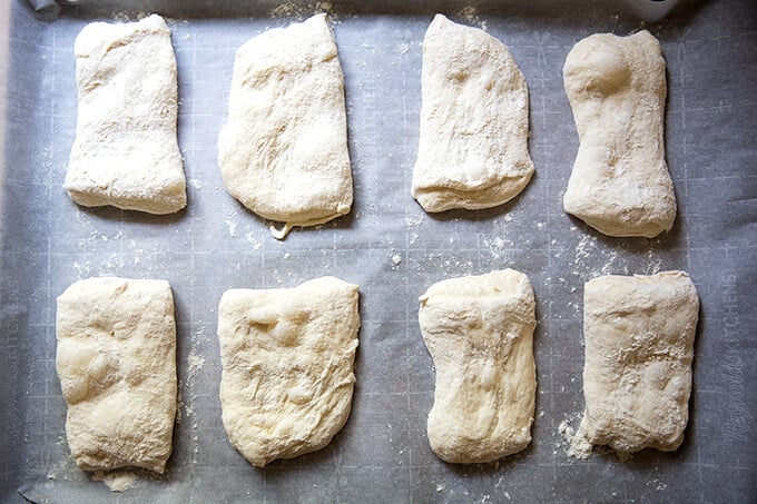 Shaped ciabatta rolls unbaked on a sheet pan.