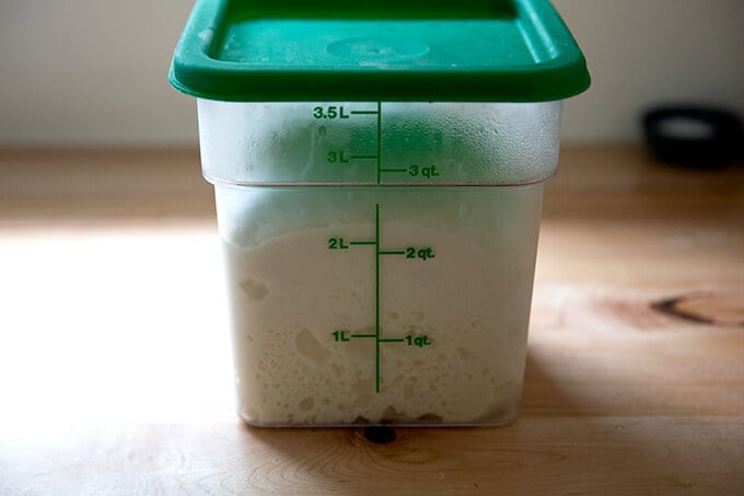 Ciabatta dough after 12 hours in the fridge.