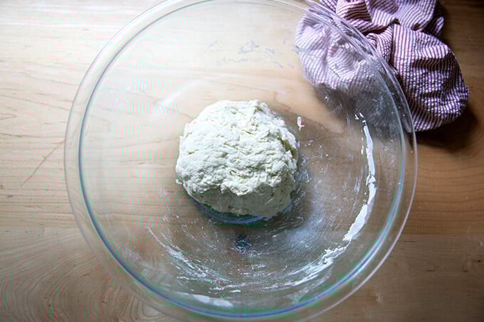 Just-mixed Detroit-style yeasted pizza dough.