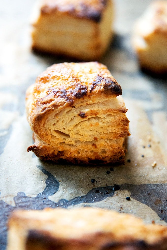 Flaky buttermilk biscuit on a sheet pan.