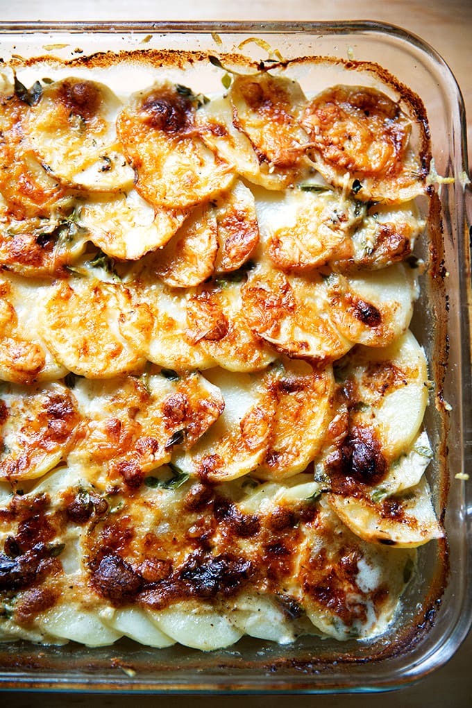 Just-baked potato gratin in its baking dish.