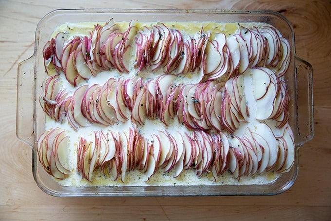 Hasselback potato gratin after 30 minutes in the oven.