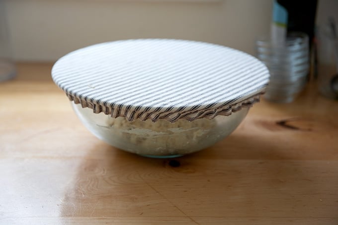 A bowl of three seed bread dough in a bowl, covered with a bowl cover.