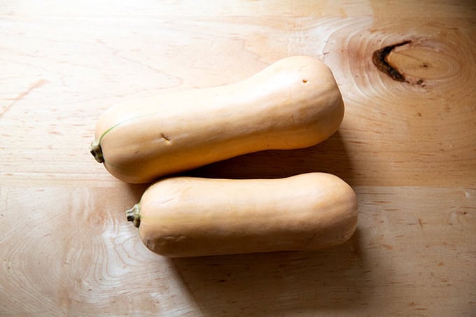 Two butternut squash on a countertop.