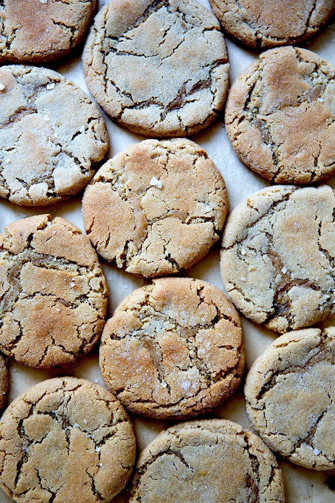 Just-baked peanut butter cookies all together on a sheet pan.