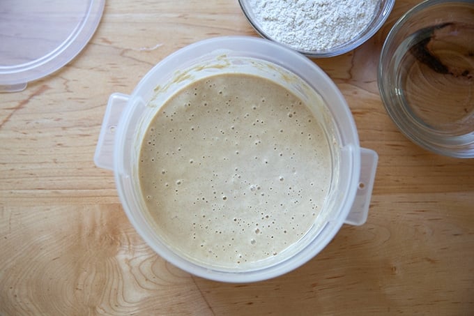 A 2-quart container holding sourdough starter.