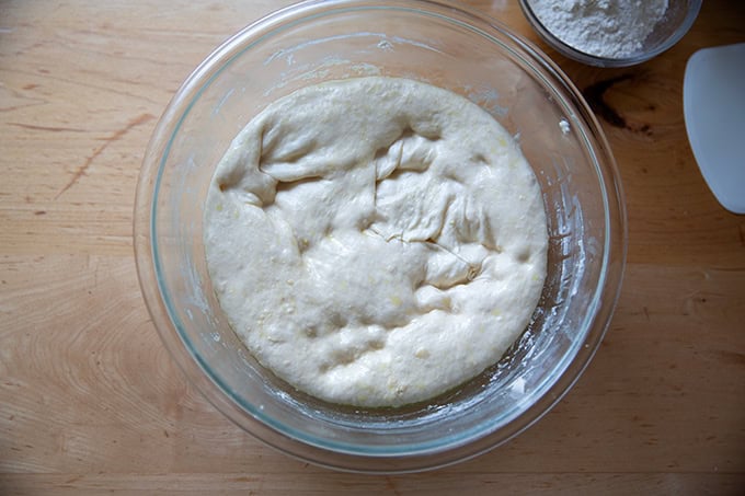 Sandwich bread dough risen and slightly deflated.