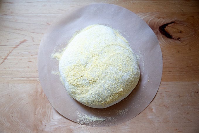 A round of Jim Lahey's no-knead dough on a circle of parchment paper, covered with cornmeal, ready to be baked.