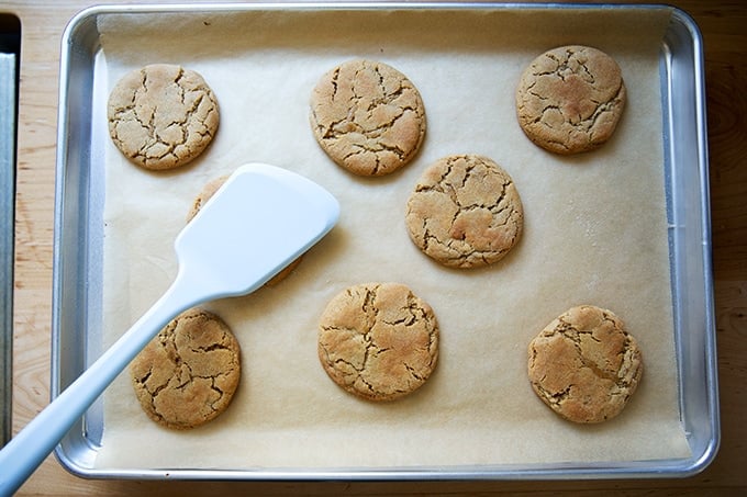 Just-baked and flattened peanut butter cookies.