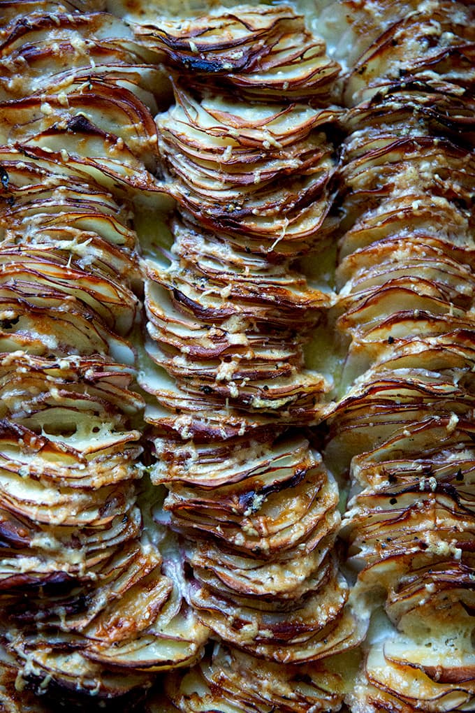 Just-baked hasselback potato gratin.