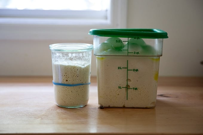 A jar of sourdough starter aside a vat of sourdough dough rising.