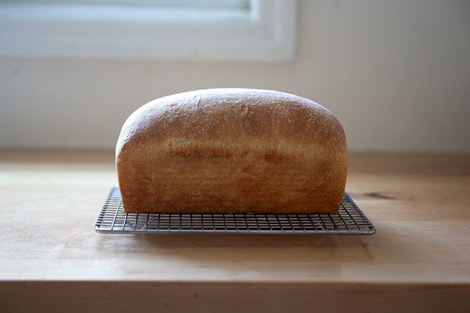 A freshly baked loaf of soft sandwich bread on a cooling rack.