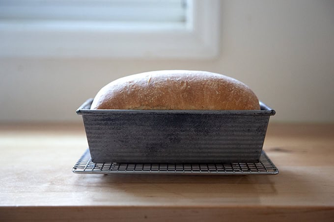 A freshly baked loaf of soft sandwich bread still in its loaf pan on a cooling rack.