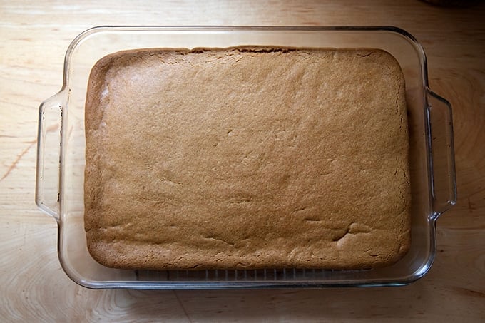 Just-baked gingerbread cookie bars in 9x13-inch pan.