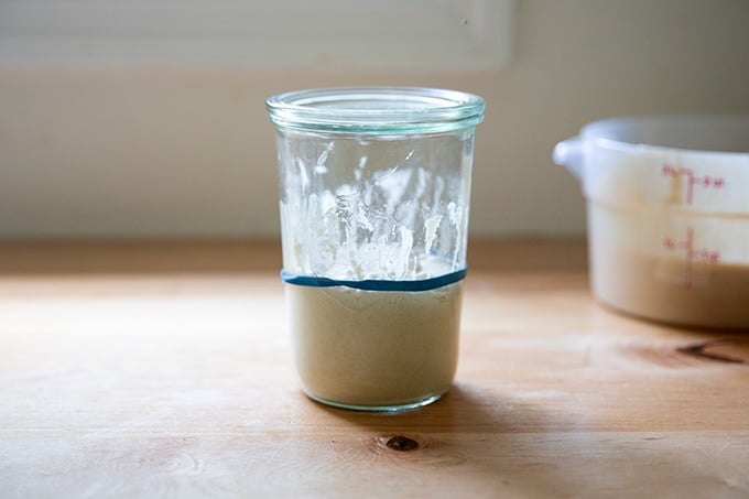 A Weck jar will with just-fed sourdough starter.