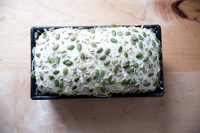 Three seed bread dough risen in a loaf pan and ready for the oven.