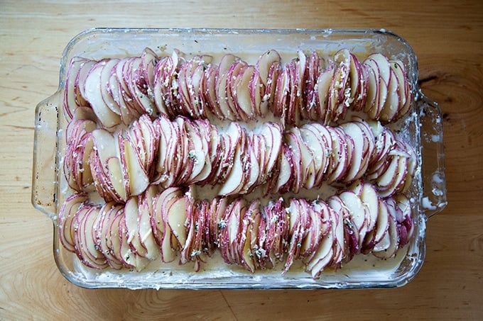 Hasselback potato gratin ready for the oven.