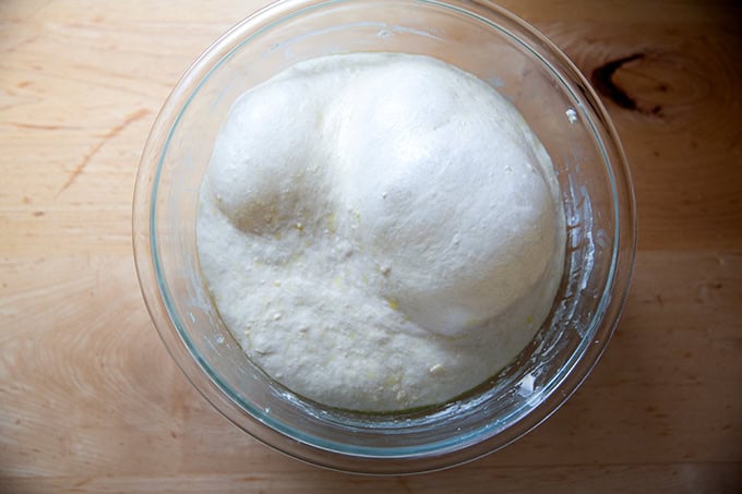 Sandwich bread dough risen in a large bowl.