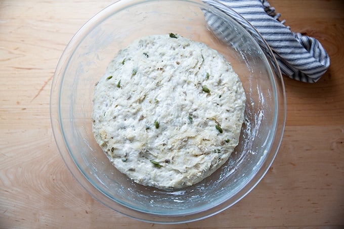 A bowl of three seed bread dough, risen.