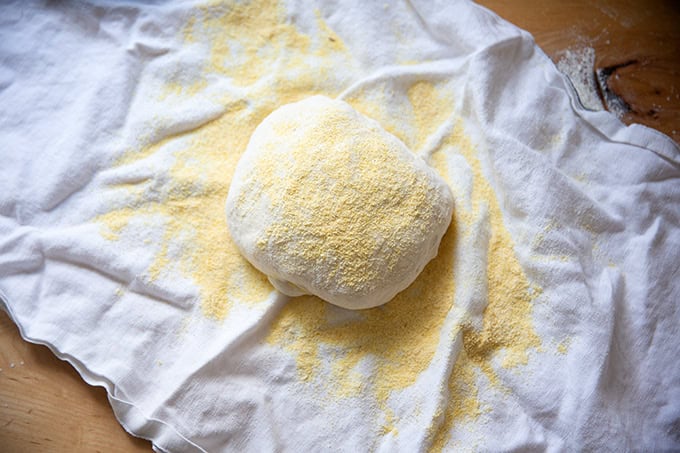 A shaped round of dough on a tea towel sprinkled with cornmeal.