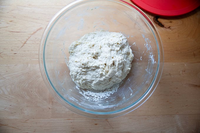Just mixed sandwich bread dough in a large bowl.