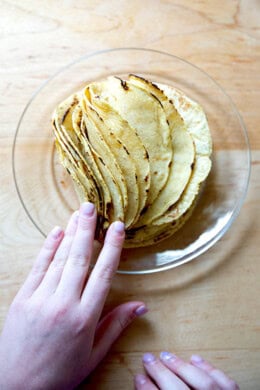 A stack of soft corn tortillas, fanned out on a plate.