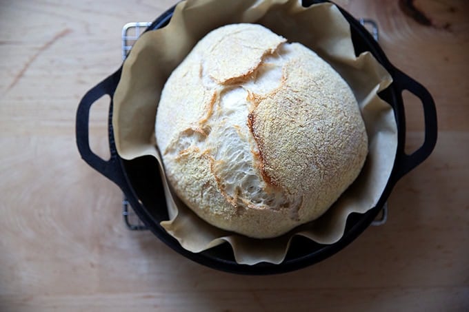 Jim Lahey's no-knead bread after a 30 covered bake in a Dutch oven.