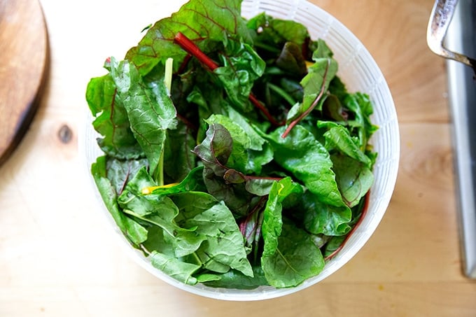 Swiss chard in a salad spinner.