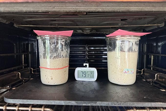 Two jars of sourdough starter keeping cozy in a turned-off oven. 