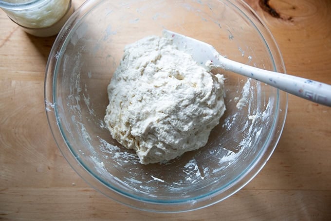 A bowl of just-mixed sourdough dough.