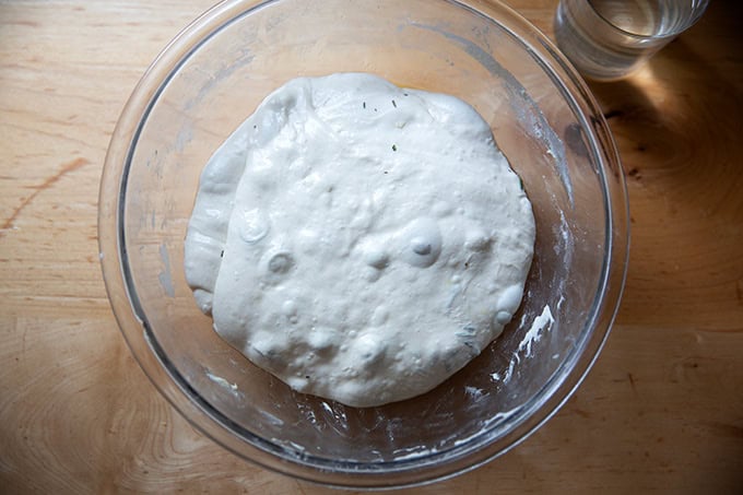 A large bowl of rosemary olive sourdough dough one hour after the olives were incorporated into the dough.