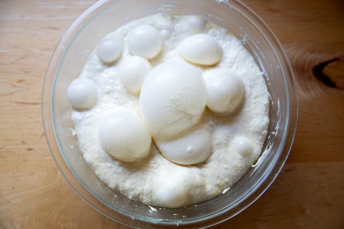 Focaccia dough after 2-days in the fridge.