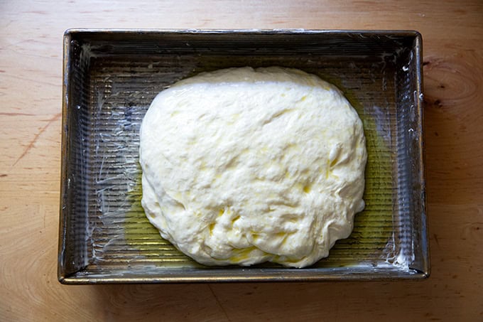 Focaccia dough, after 2 nights in the fridge, in a 9x13-inch pan ready to rise.