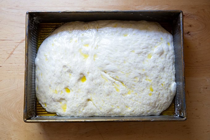 Focaccia dough in pan after 1.5 hours of rising.