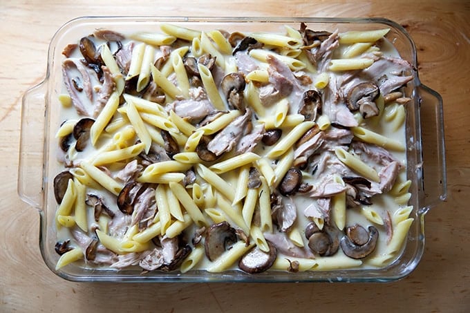 A 9x13-inch pan filled with pasta, sautéed mushrooms, leftover cooked turkey, and gravy/bechamel sauce.