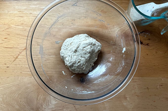 Just-mixed sandwich roll dough in a large bowl.