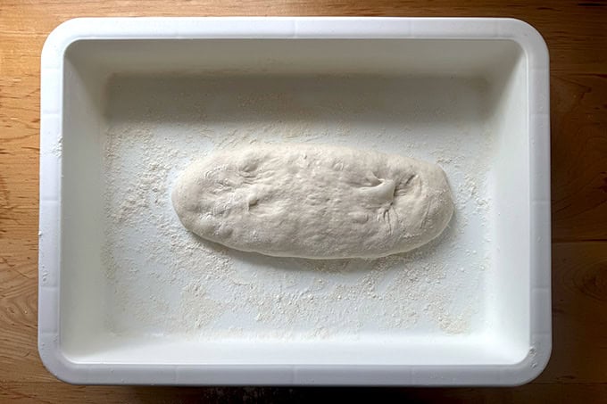 Sandwich roll dough, stretched into a log in a DoughMate.