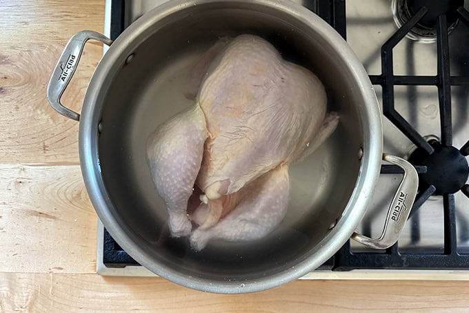 A whole chicken in a large pot covered with water.